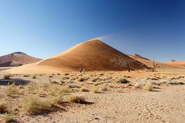 Sossusvlei, Namíbia — Stock Fotó