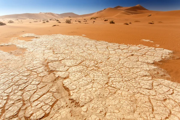 Sossusvlei, Namibia — Stock Photo, Image