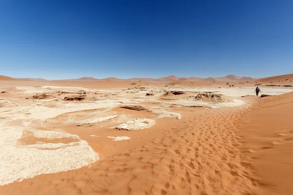 죽은 vlei-sossusvlei, 나미비아 — 스톡 사진