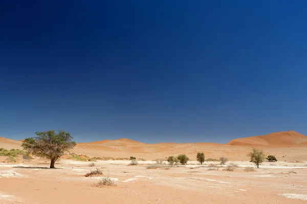 Sossusvlei, Namibia — Stockfoto