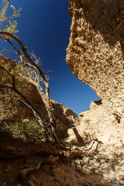 Sesriem kanionem susza, namibia — Zdjęcie stockowe