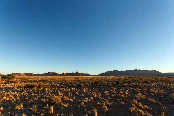 Sossusvlei, Namibia — Stockfoto