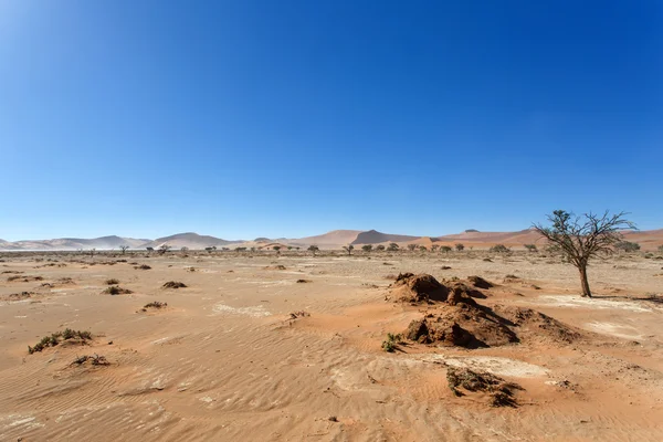 Sossusvlei, Namibia — Stockfoto