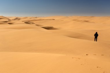 Namibya 'da çöl, Afrika