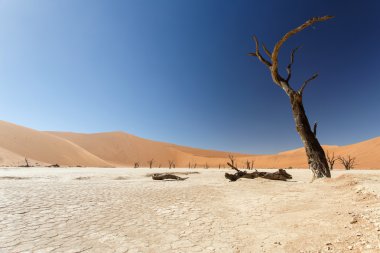 ölü vlei - sossusvlei, Namibya