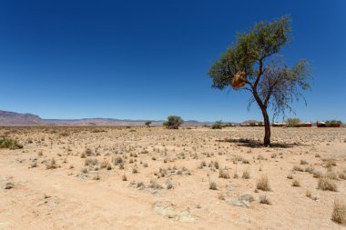 çöl kampı - sossusvlei, Namibya