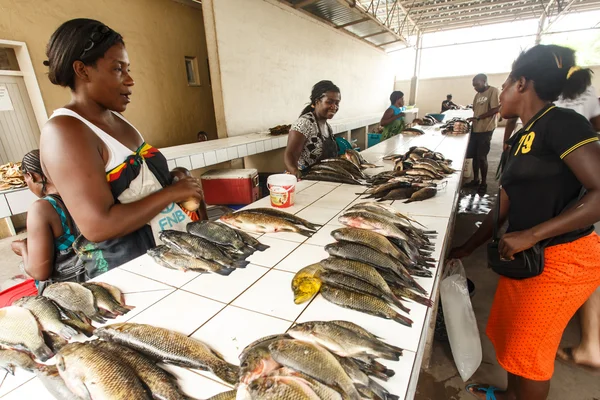 Katima Mulio - Namibia — Stock Photo, Image