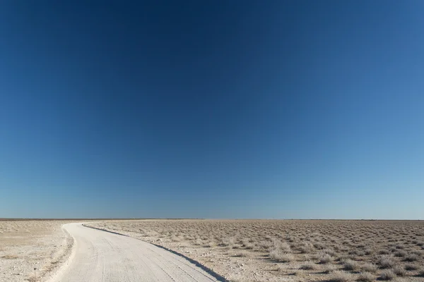 Safari park Etosha v Namibii — Stock fotografie