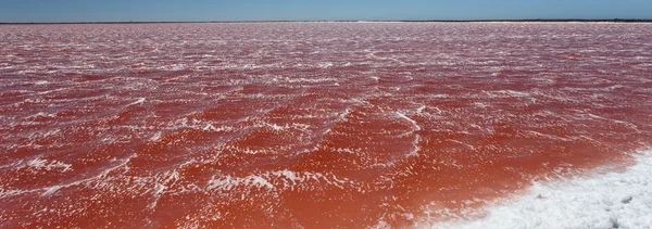 Salt fungerar i namibia — Stockfoto