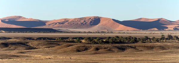 Susza, namibia — Zdjęcie stockowe