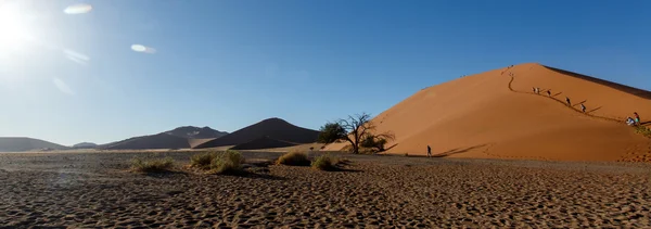 Sanddünen bei sossusvlei, Namibia — Stockfoto