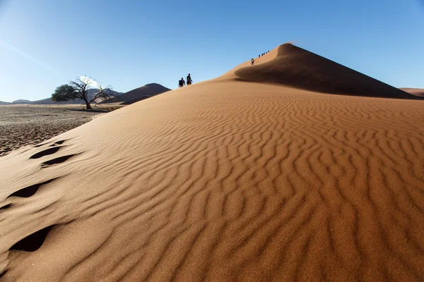 在 sossusvlei，纳米比亚的沙丘 45 号 — 图库照片