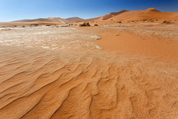 Susza, namibia — Zdjęcie stockowe