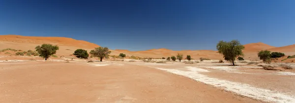 Susza, namibia — Zdjęcie stockowe