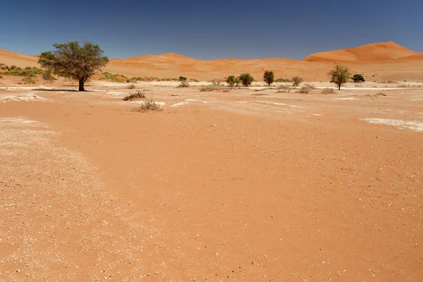 Sossusvlei, Namibia — Stock Photo, Image