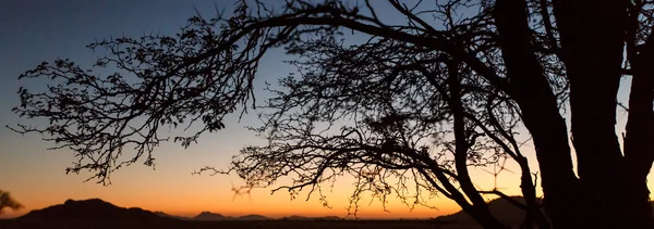 Sossusvlei, Namibie — Stock fotografie