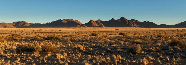 Sossusvlei, Namibie — Stock fotografie