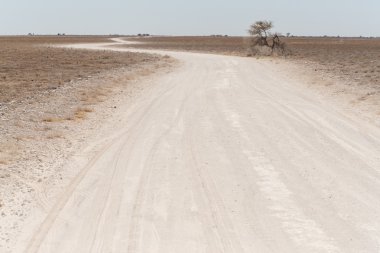 etkin safari park Namibya