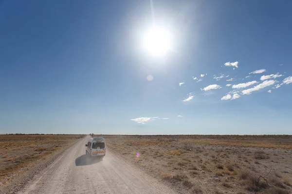 Parco di Etosha Safari in Namibia — Foto Stock