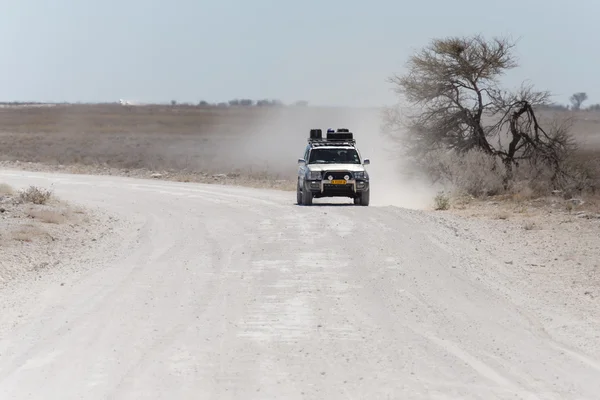 Etosha Safaripark i namibia — Stockfoto