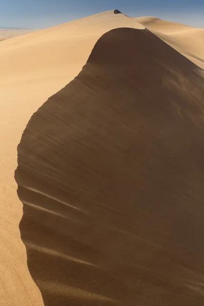 Öken i namibia, Afrika — Stockfoto