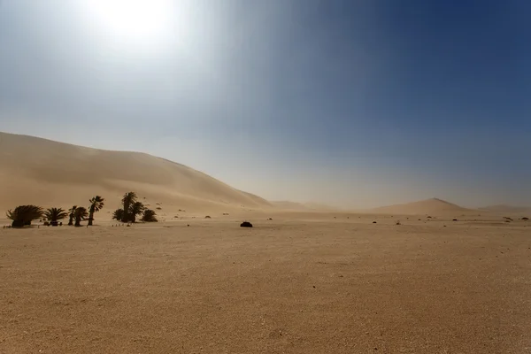 Düne sieben in namibia, afrika — Stockfoto