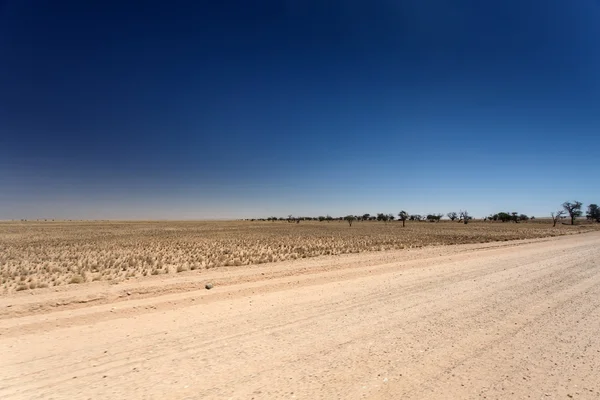 Sossusvlei, Namibia — Foto de Stock