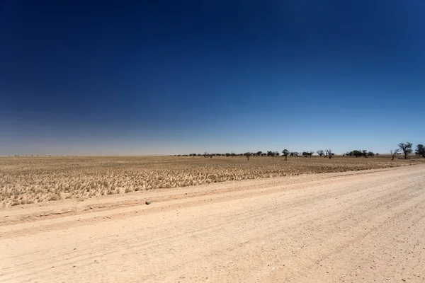 Susza, namibia — Zdjęcie stockowe