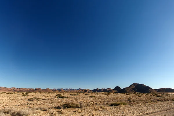 Susza, namibia — Zdjęcie stockowe