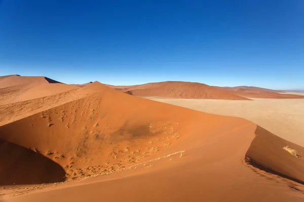 在 sossusvlei，纳米比亚的沙丘 — 图库照片