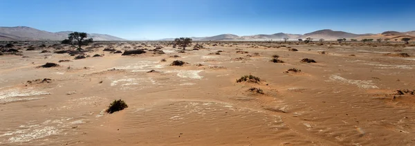 Sossusvlei, Namibie — Photo