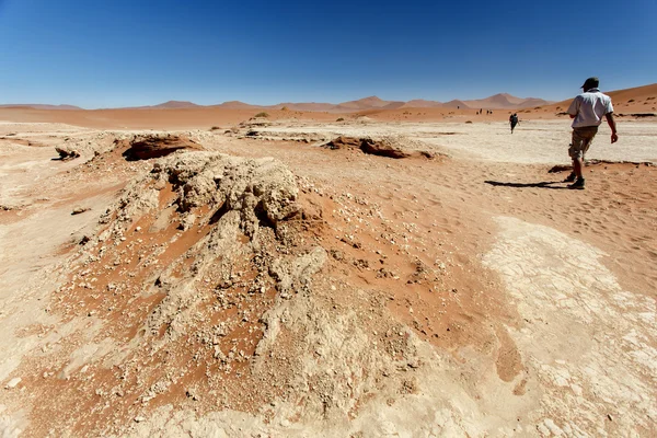 死んだ vlei - ソーサス フライ、ナミビア — ストック写真