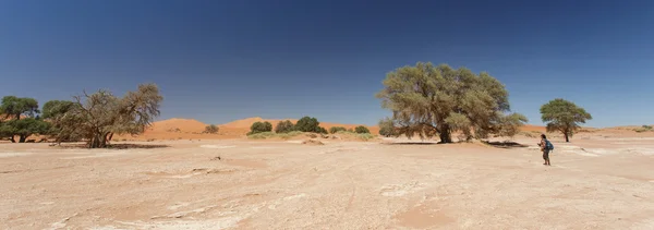 Susza, namibia — Zdjęcie stockowe