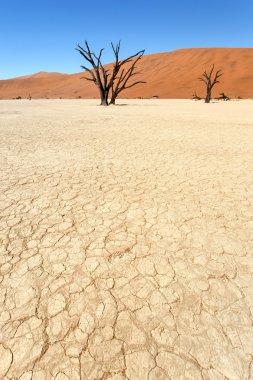 ölü vlei - sossusvlei, Namibya