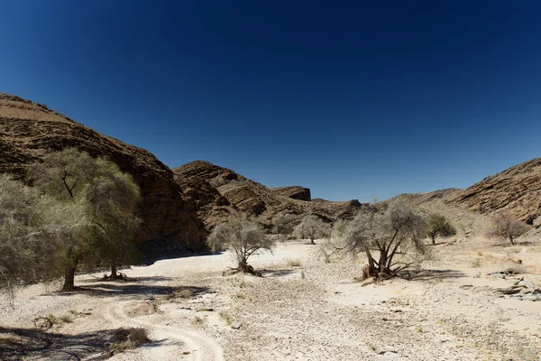 Suche rzeki w susza, namibia — Zdjęcie stockowe