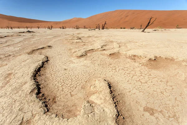 Ölü vlei - sossusvlei, Namibya — Stok fotoğraf