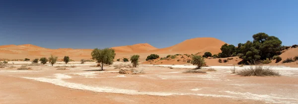 Sossusvlei, Namibie — Photo