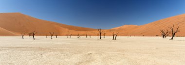 ölü vlei - sossusvlei, Namibya