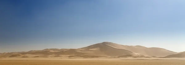 Désert en namibie, Afrique — Photo