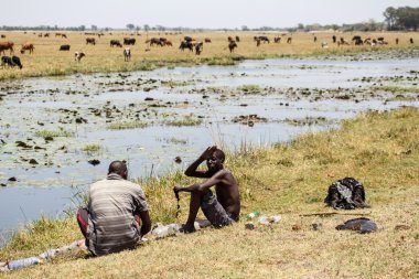 Chobe nehir, botswana, Afrika