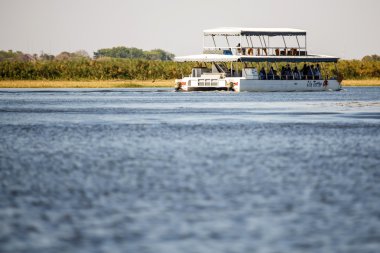 Chobe nehir, botswana, Afrika