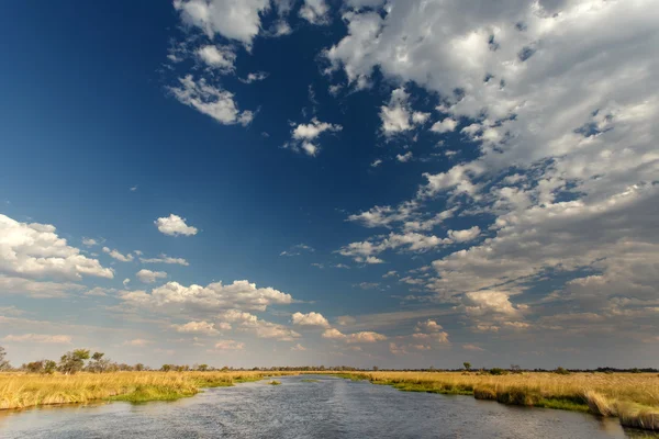 Okavangodelta, Afrika — Stockfoto