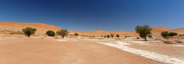 SOSSUSVLEI, Namibië