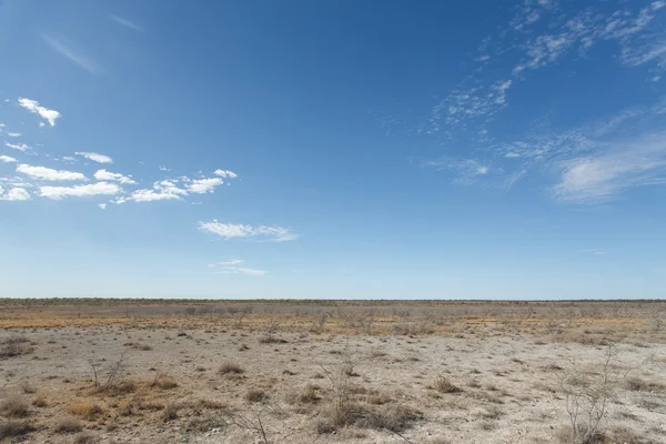 Etosha Safari Park na Namíbia — Fotografia de Stock