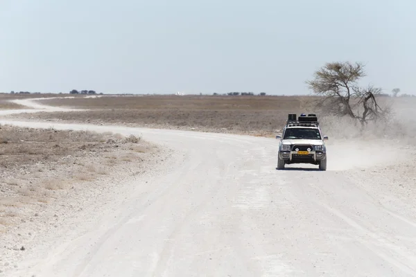 Etosha safaripark in Namibië — Stockfoto