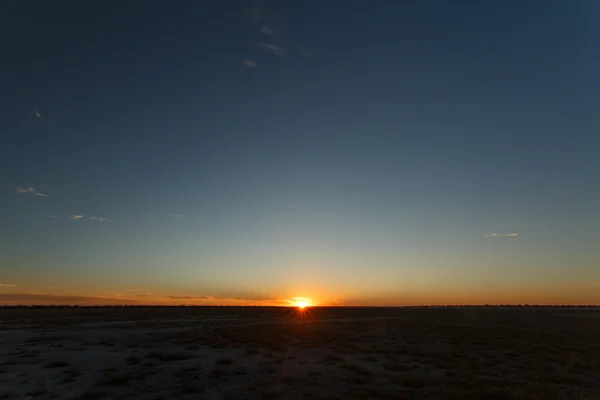 Etosha Safaripark i namibia — Stockfoto