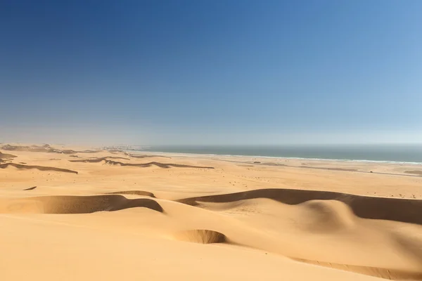 Ørken i namibia, Afrika - Stock-foto