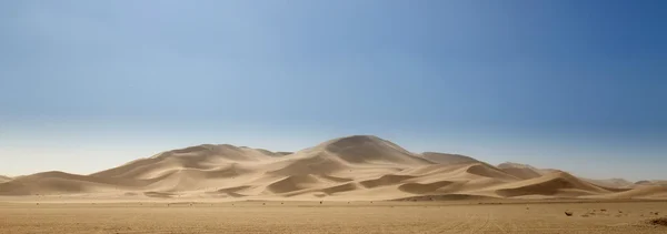 Namibya 'da çöl, Afrika — Stok fotoğraf