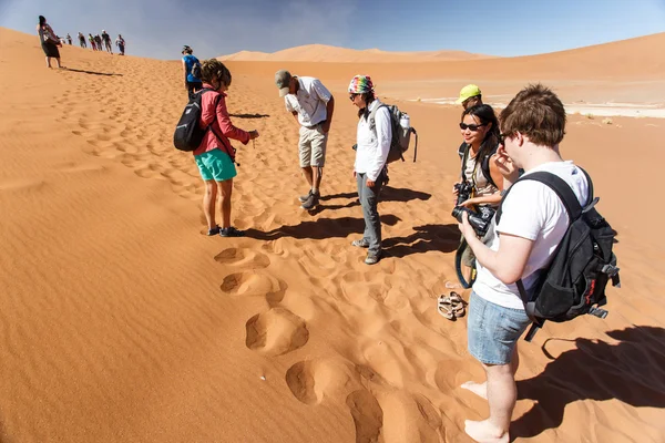 Turist namib Çölü Milli Parkı — Stok fotoğraf