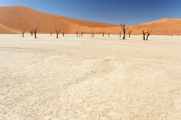 死んだ vlei - ソーサス フライ、ナミビア — ストック写真